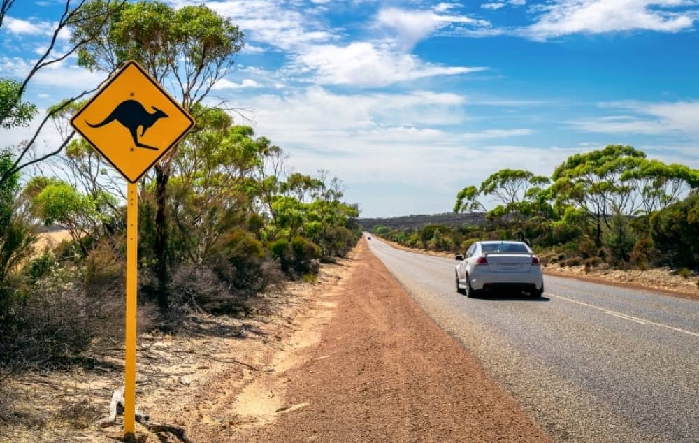 Australian outback road side sign.