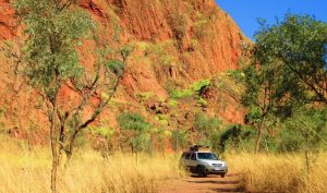 Outback driving remote area.